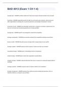BAD 4013 &lpar;Exam 1 CH 1-4&rpar;