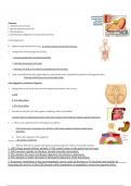 Gastrointenstinal Tract Summarized.