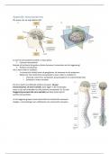 Neurbiologie hoofdstuk 22, Appendix en H6 t/m8