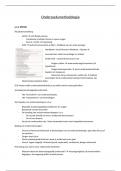 Class notes of Onderzoeksmethodologie (VUB)