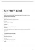Microsoft Excel