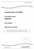 The Audit Process AUE3761