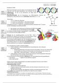 Samenvatting -  Biologie H 19 DNA