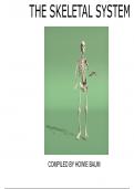 Presentation Human biology  Biological Anthropology of the Human Skeleton