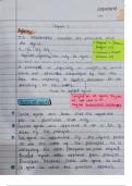 Contracts II notes