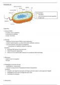 WJEC (Wales) Unit 1 Biology Prokaryotic cells notes 