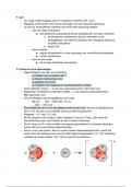 Samenvatting Hoofdstuk 7 VWO 4 Chemie  -  Scheikunde