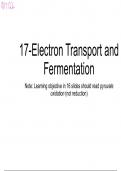 Electron Transport and Fermentation 