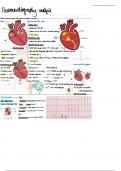 Electrocardiography Practical Notes