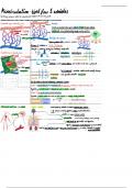 Microcirculation Lecture Notes