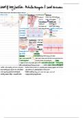 Control of Lung Function Lecture Notes