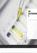 Gel electrophoresis/SDS-PAGE