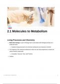 IB Biology 2.1 Molecules to Metabolism