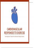Cardio vascular system 