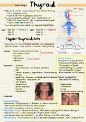 Thyroid - Summary Notes