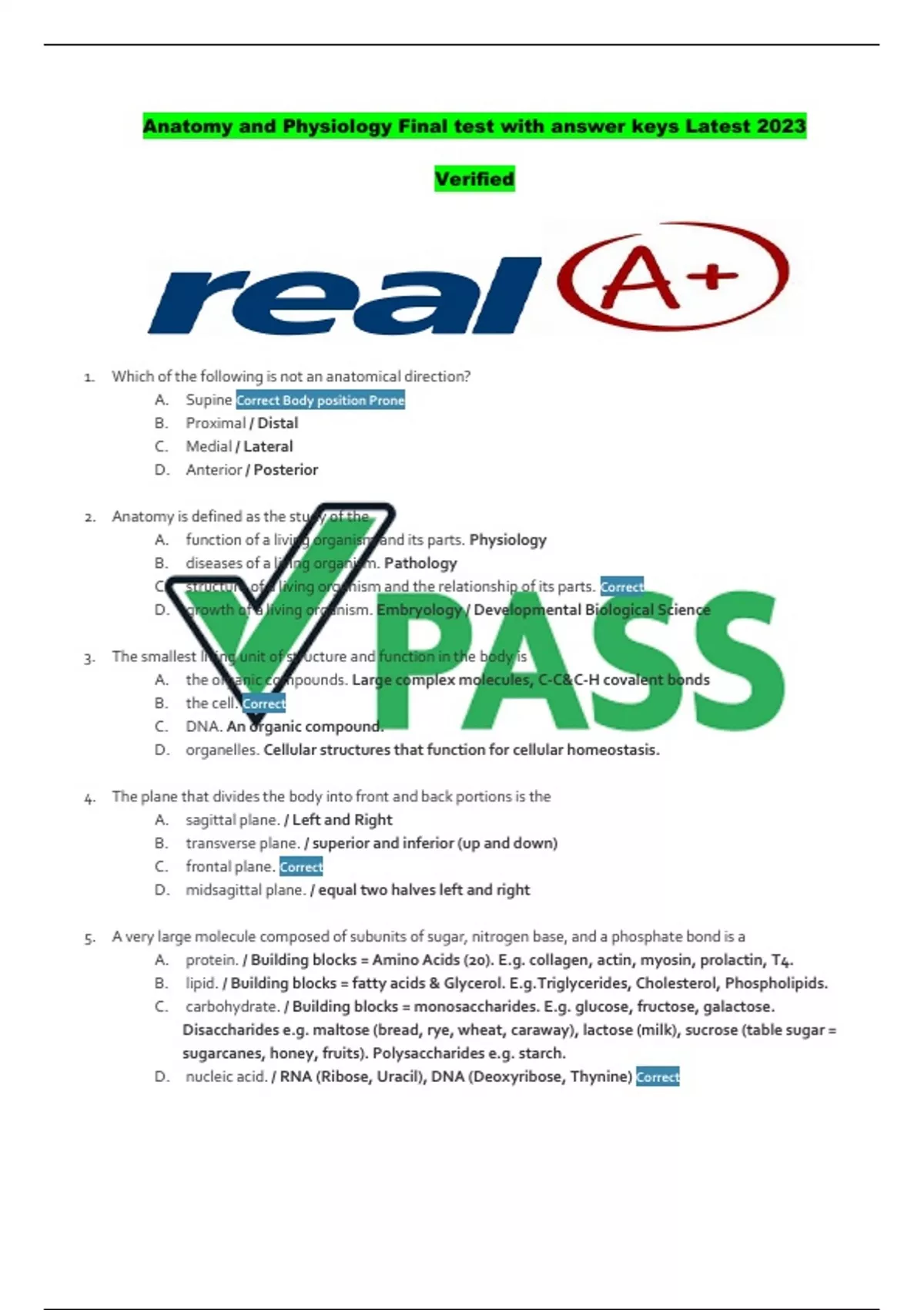 Anatomy and Physiology Final test with answer keys Latest 2023 Verified ...