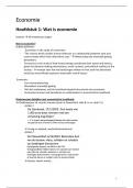 Samenvatting -  Economie (CO4O5a, Bachelor In De Criminologie)