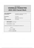 Praktijkdossier Social Work &lpar;Afstuderen NHL Stenden Hogeschool&rpar; Beoordeeld met een 9&excl;