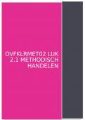 Methodisch handelen binnen het zorgproces in de wijkverpleging