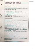 AQA A-level Psychology - Paper 2 Notes Bundle