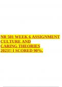 NR 501 WEEK 6 ASSIGNMENT CULTURE AND CARING THEORIES 2023&excl;&excl; I SCORED 90&percnt;&period;