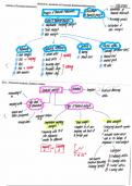 CPA Foundation Financial Accounting and Reporting MIND MAPS 
