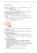 Samenvatting - Hersenen en gedrag 2022-2023