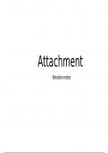 Attachment essay plans 
