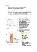 Neurophysiology, synaptic pharmacology and endocrinology - 1st semester summary