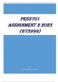 PES3701 Assignment 2 2023