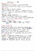 Kinetics Notes for Chemistry 1 (TAMU CHEM120)