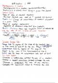 Kinetics Notes for Chemistry 1 &lpar;TAMU CHEM120&rpar;