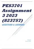 PES3701 Assignment 3 2023