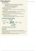DAT Prep Biology Chapter 3&colon; cellular energy