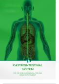 Mastering the Gastrointestinal System: Comprehensive Study Notes for Future Medical Professionals