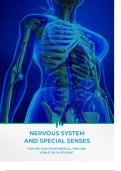Exploring the Nervous System and Special Senses: Comprehensive Study Notes for Healthcare Students