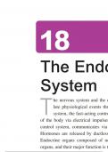 Complete Key for Unit 18 Labs- The Endocrine System