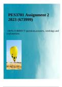 PES3701 ASSIGNMENT 2 2023 &lpar;673999&rpar;