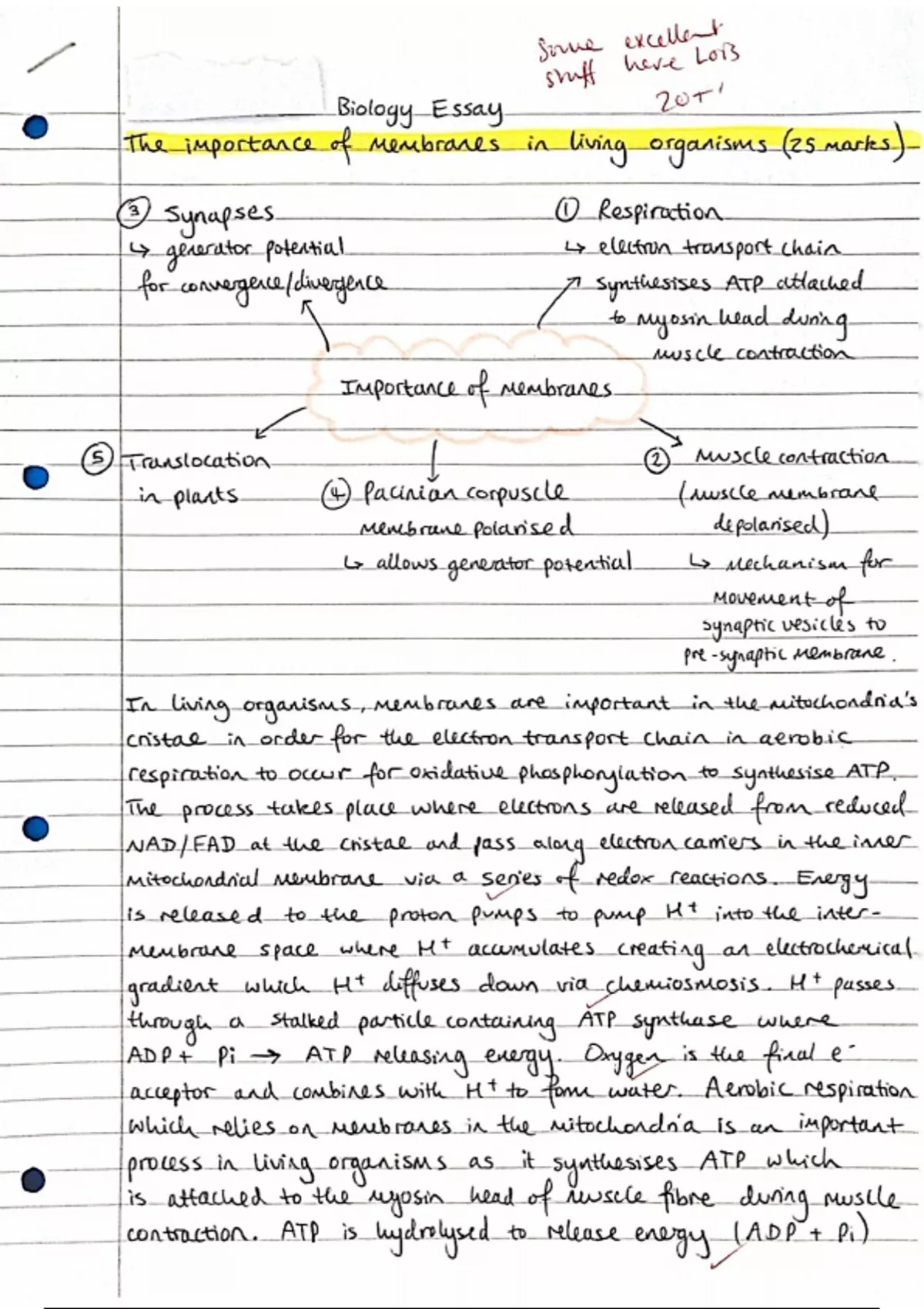 a level biology essay notes