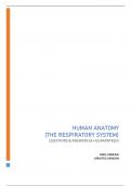 HUMAN ANATOMY (THE RESPIRATORY SYSTEM) - QUESTIONS & ANSWERS (A+ GUARANTEED) 100% VERIFIED BEST VERSION