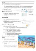 A Level Biology - Cell Membrane & Transport Notes