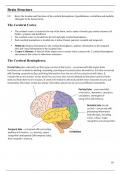 A Level Biology - Brain Structure & Development Notes