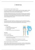 Samenvatting ziektebeelden -  Anatomie 
