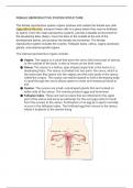 INTRO TO THE FEMALE REPRODUCTIVE SYSTEM