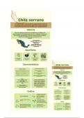 Infografía Chile Serrano