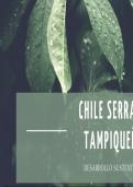 CHILE SERRANO  TAMPIQUEÑO