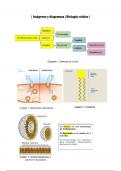 Guía de biología celular 