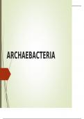 Summary -  archaebacteria