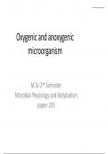 Summary -  oxygenic and anoxygenic microorganisms 