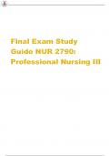 Final Exam Study Guide NUR 2790&colon; Professional Nursing III